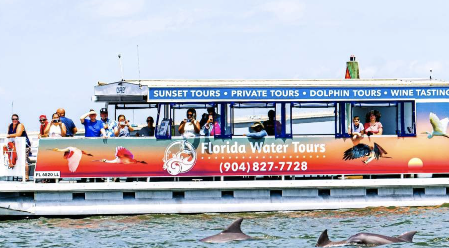 Dolphin Wildlife Tours